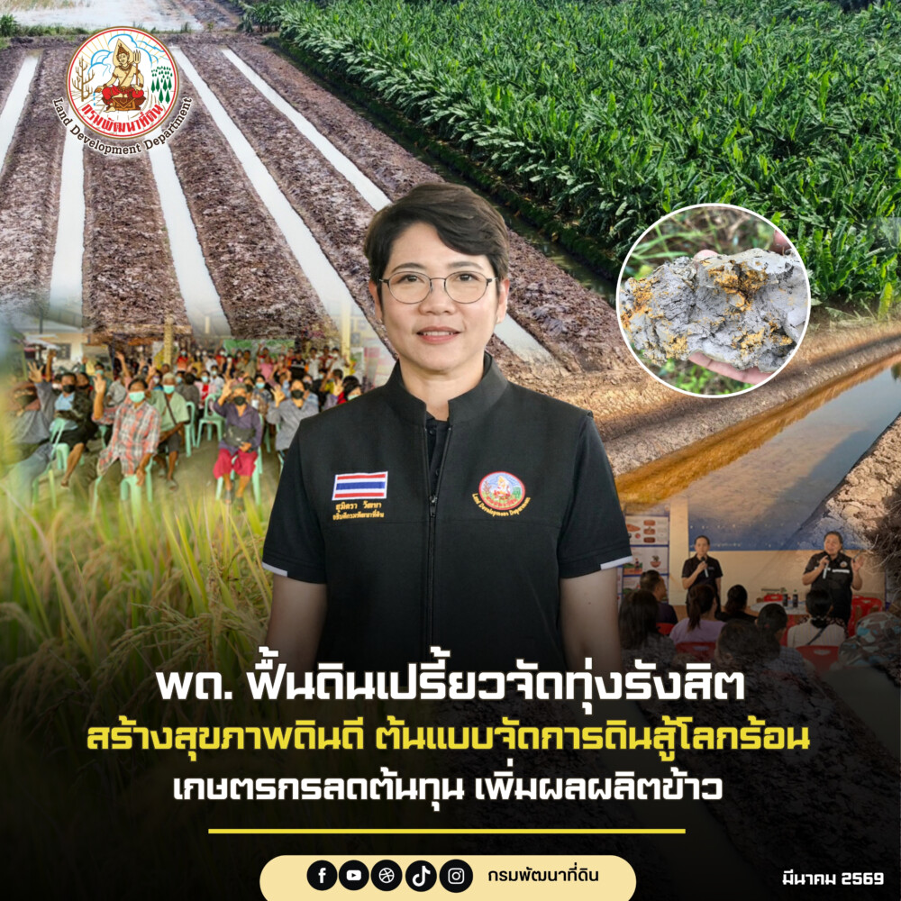 กรมพัฒนาที่ดิน โชว์สำเร็จฟื้นดินเปรี้ยวจัดทุ่งรังสิต ดันเป็นต้นแบบจัดการดินสู้โลกร้อน ให้เกษตรกรเพิ่มผลผลิตข้าวได้
