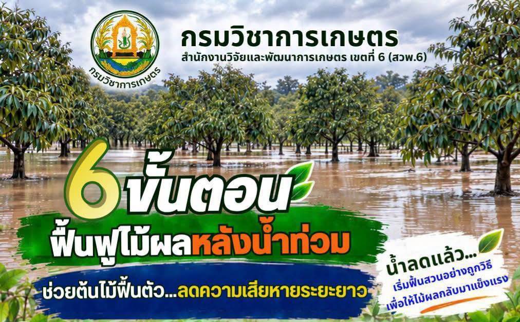 “สุริยะ” สั่ง! กรมวิชาการเกษตร เร่งช่วยเหลือเกษตรกรฟื้นฟูสวนหลังน้ำลด