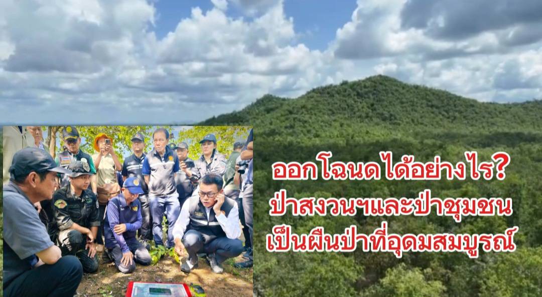 กมธ.สิ่งแวดล้อม วุฒิสภา ลุยตาก สางปมโฉนดทับที่ป่าสงวน 3.5 หมื่นไร่ ตะลึงออกโฉนดได้อย่างไร พื้นที่ยังคงเป็นผืนป่าที่อุดมสมบูรณ์