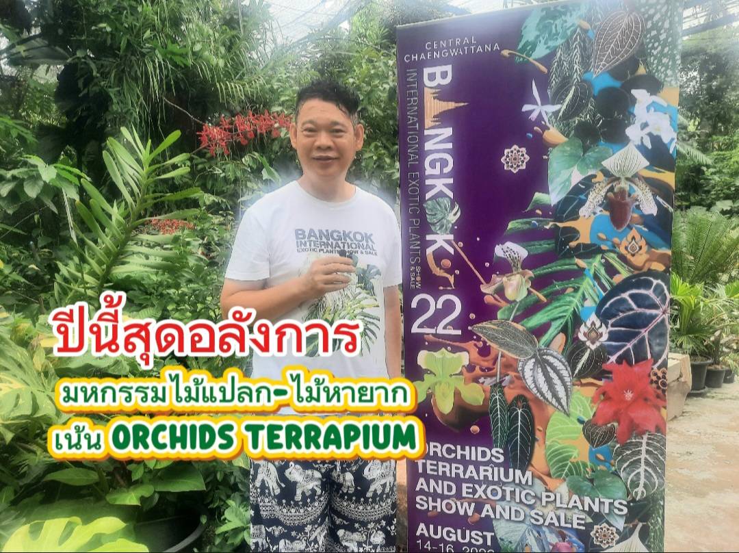 ปีนี้ยิ่งใหญ่ระดับโลก งาน “มหกรรมไม้แปลก-ไม้หายากนานาชาติ” โชว์สุดอลังการ “ปลูกไม้ประดับในตู้” พบกัน 14-16 ส.ค.นี้