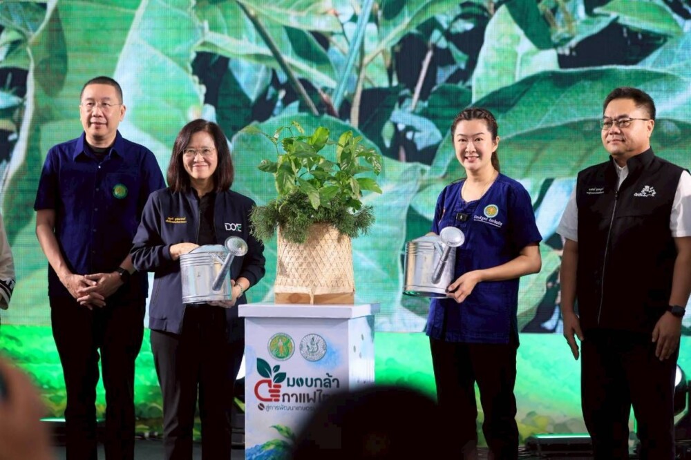 เปิดโครงการประชาสัมพันธ์กล้าพันธุ์กาแฟ หนุนเกษตรกรใช้พันธุ์กาแฟคุณภาพที่เชียงราย