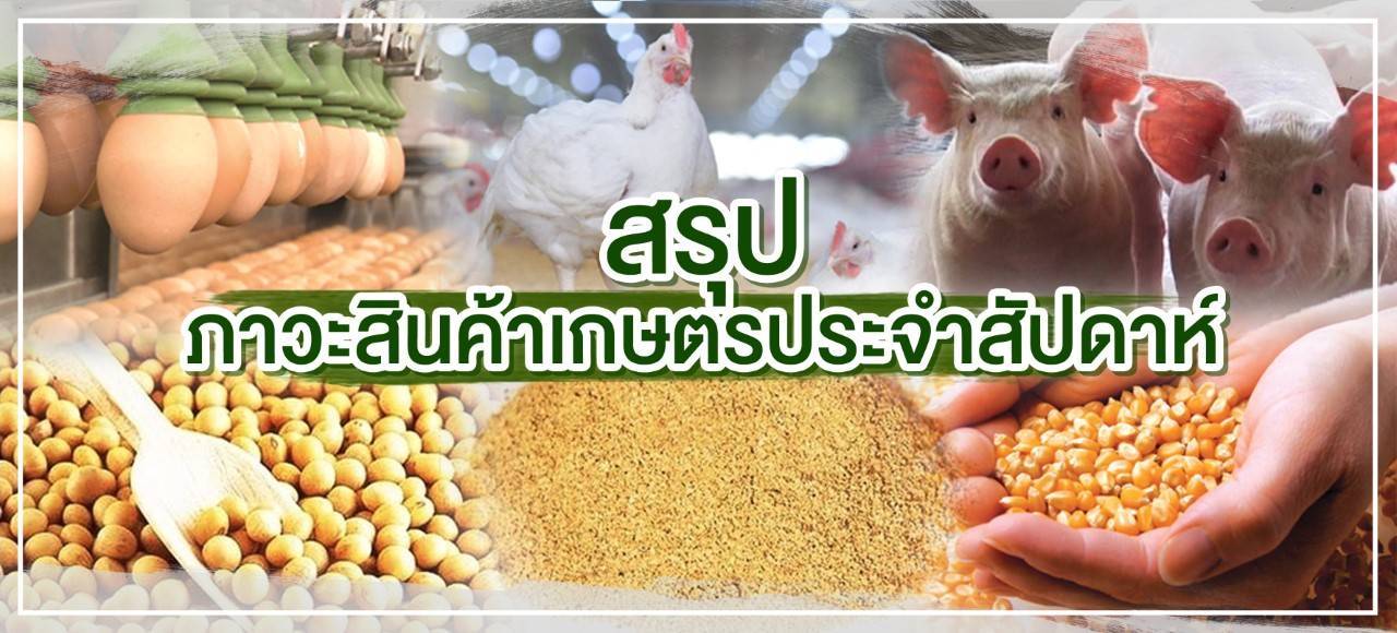 สรุปภาวะสินค้าเกษตรประจำสัปดาห์ (27 เม.ย.–1 พ.ค.69)ข้าวโพดราคาขยับขึ้นต่อเนื่อง
